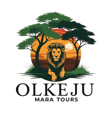 Olkeju Mara Tours - Premium Maasai Mara Safari Experiences